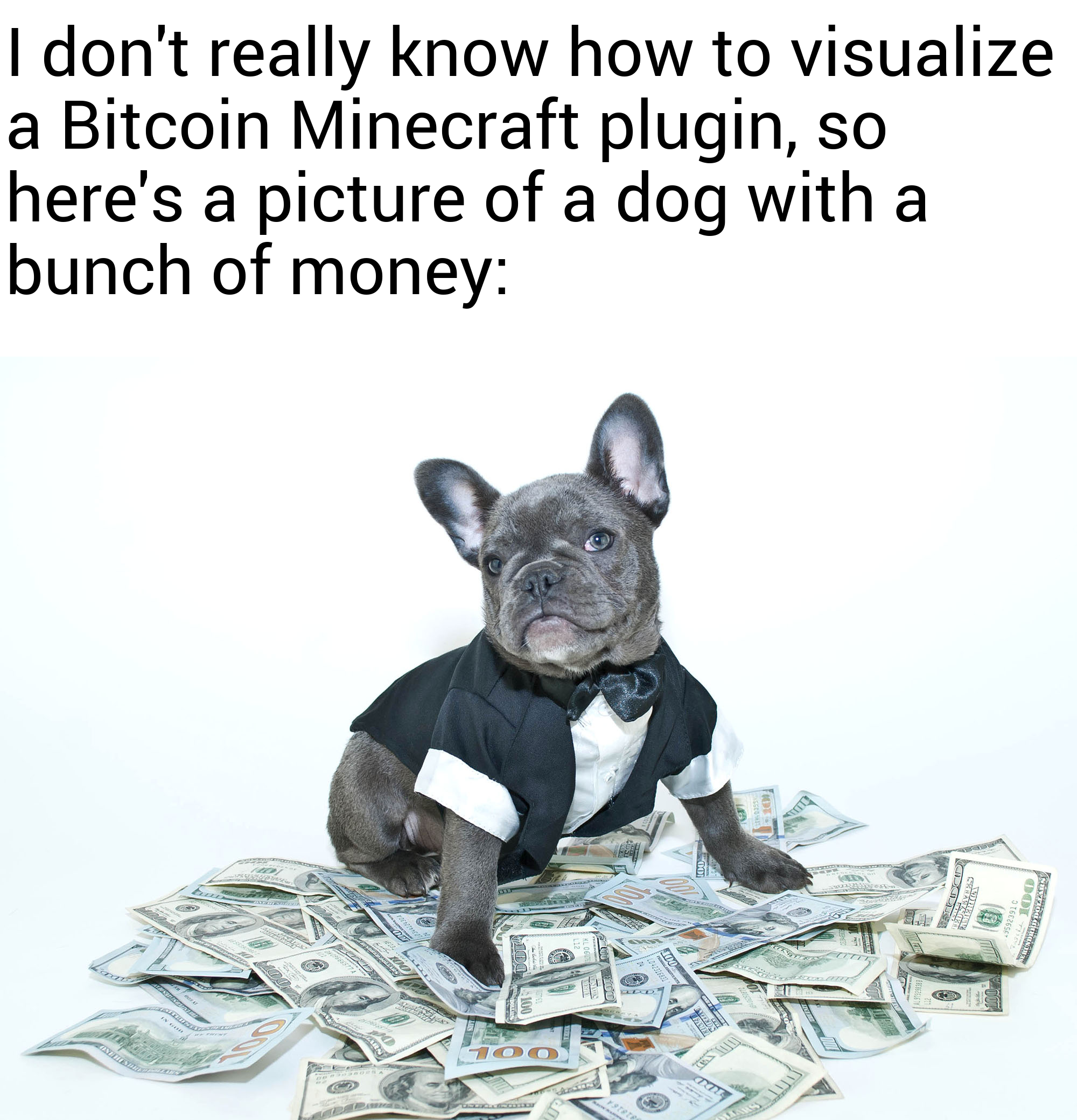 I don't really know how to visualize a Bitcoin Minecraft plugin, so here's a picture of a dog with a bunch of money.